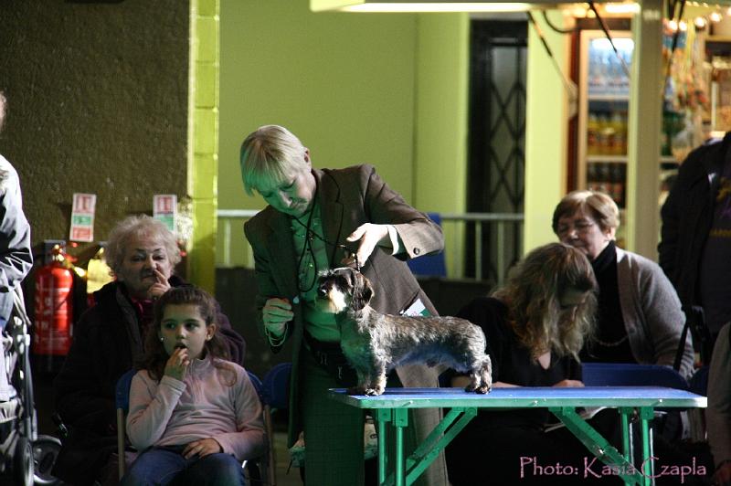 Crufts2011_2 660.jpg